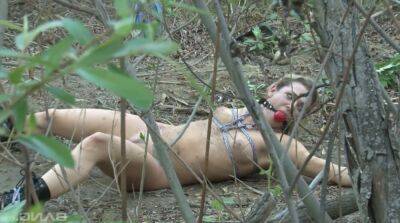 Tied up chick Bailey Blue gets her pussy fucked and jizzed in the forest on sexyblondegirl.com